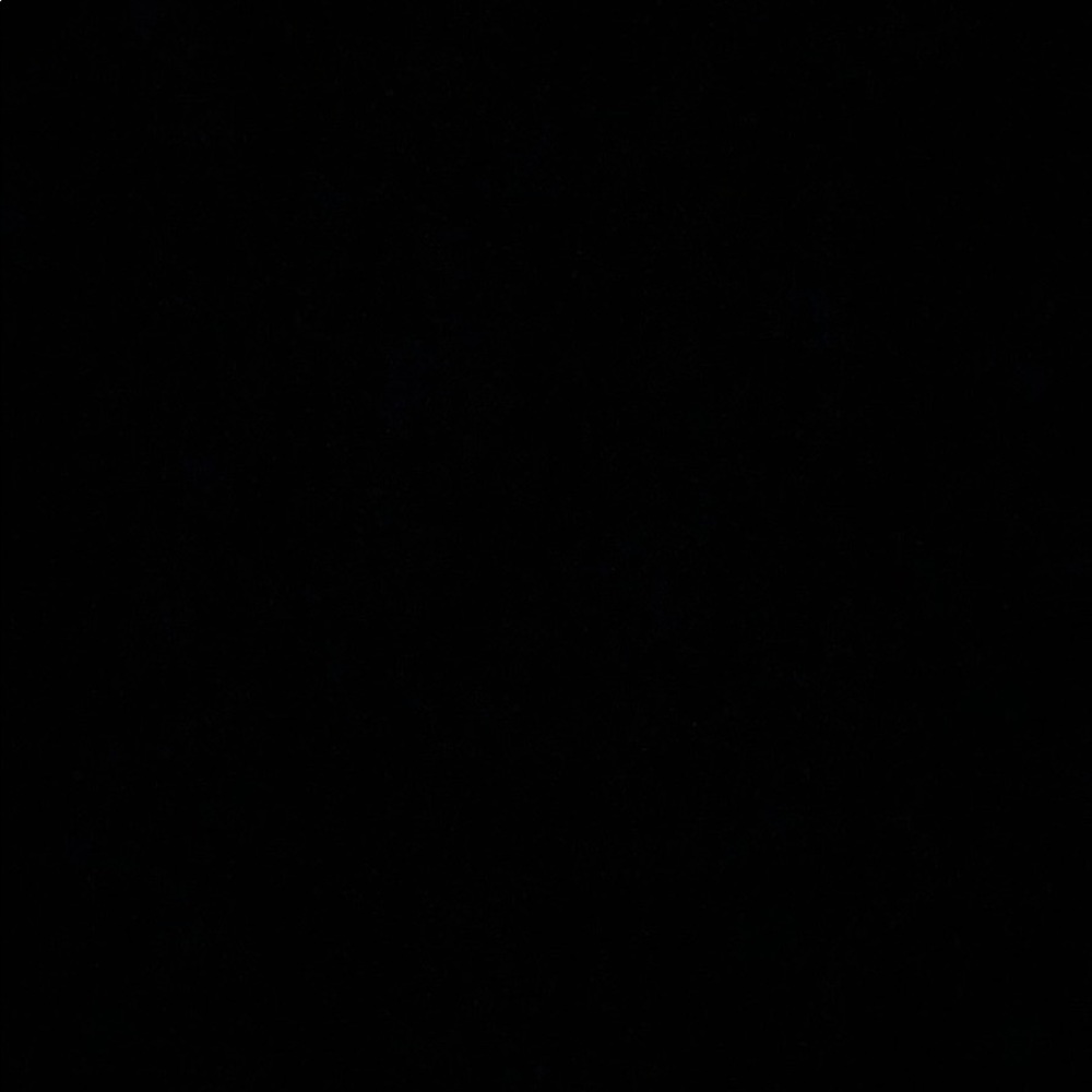 Meet your Posher, Isabella